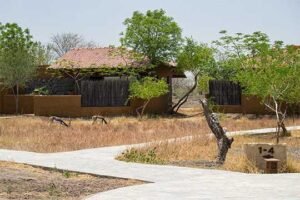 blackbuck-lodge-2